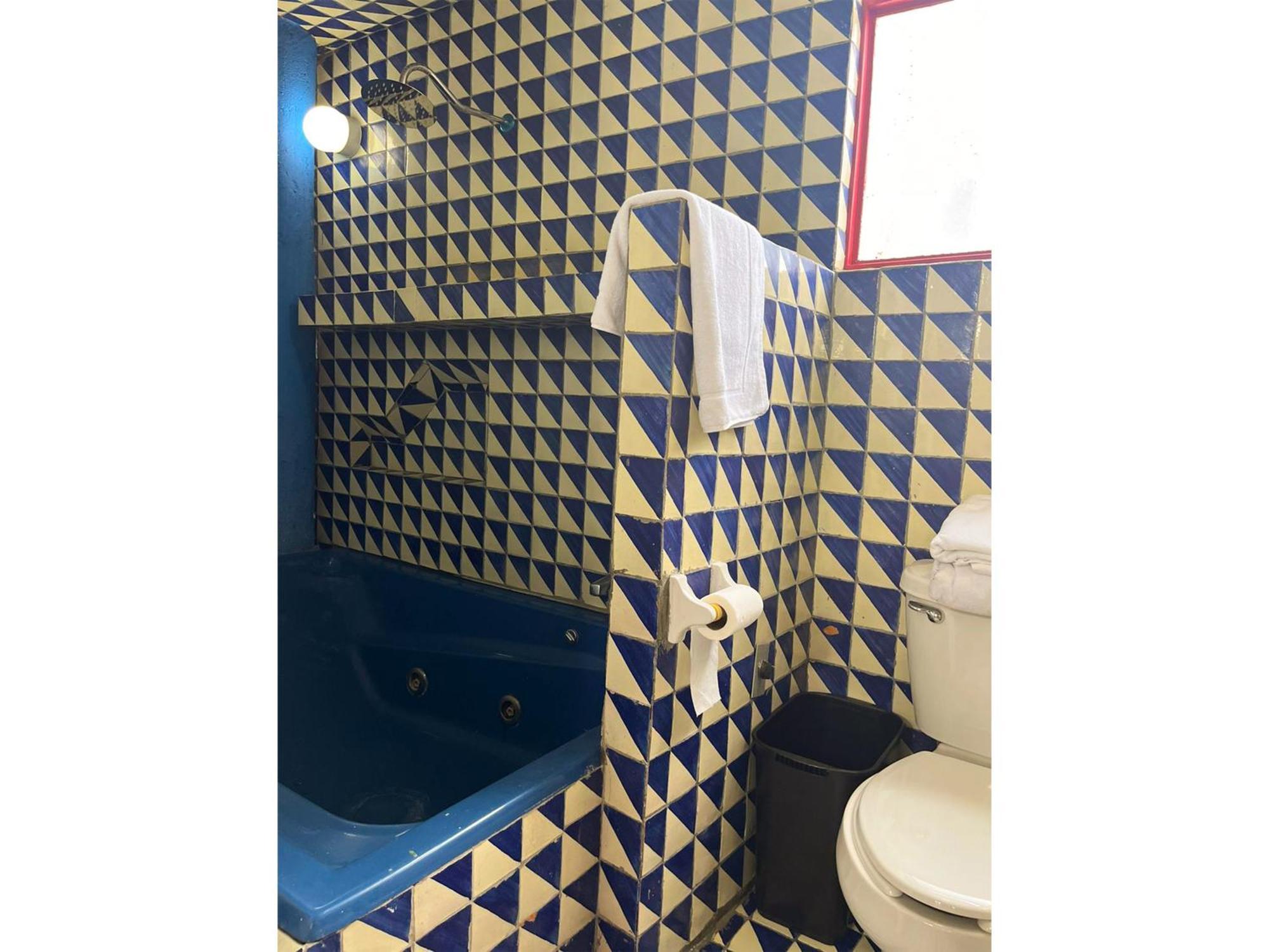 Apartament Lofts En Casa Azul Centro De Slp - Inmotega San Luis Potosí Pokój zdjęcie